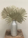 Large Natural Sun Palms// (5 stem Bundle)) // Naturally Grown and Preserved // Wedding Flowers // Dried Palms Assorted Sun Palms - CaliforniaFlowerGrowers.com